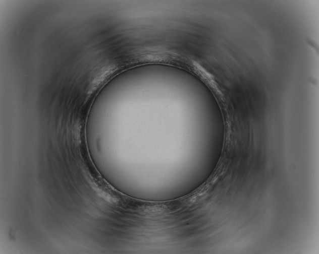 X0000091010106200708241521