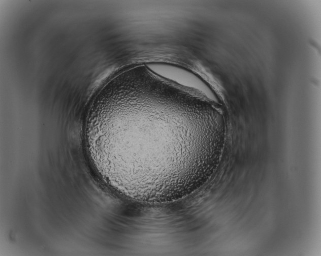 X0000091010107200708241521