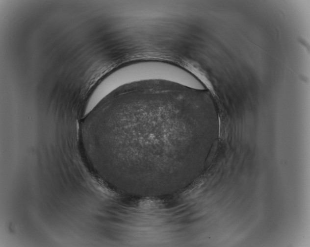 X0000091010109200708241521