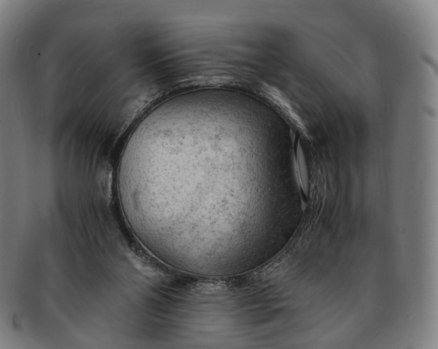 X0000091010110200708241521