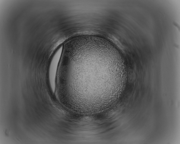 X0000091010111200708241521