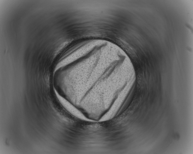 X0000091010112200708241521