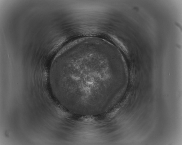 X0000091010113200708241521