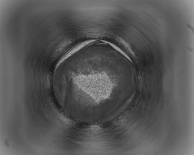 X0000091010114200708241521