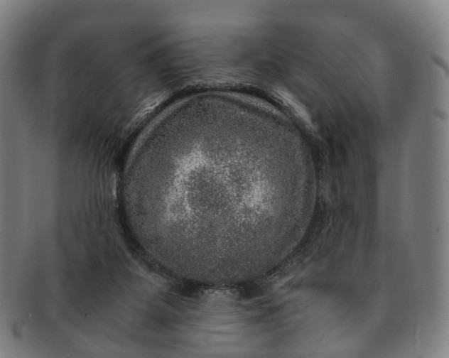 X0000091010115200708241521