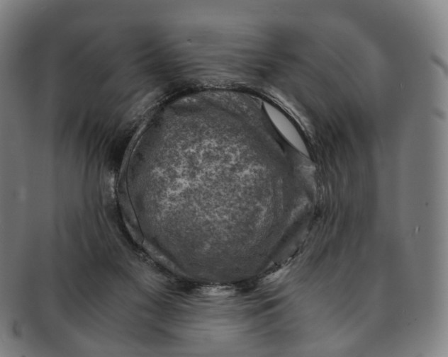 X0000091010117200708241521