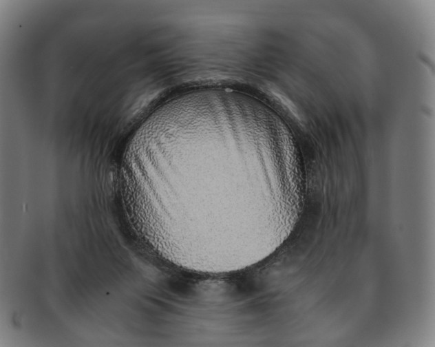 X0000091010119200708241521