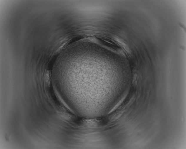 X0000091010121200708241521