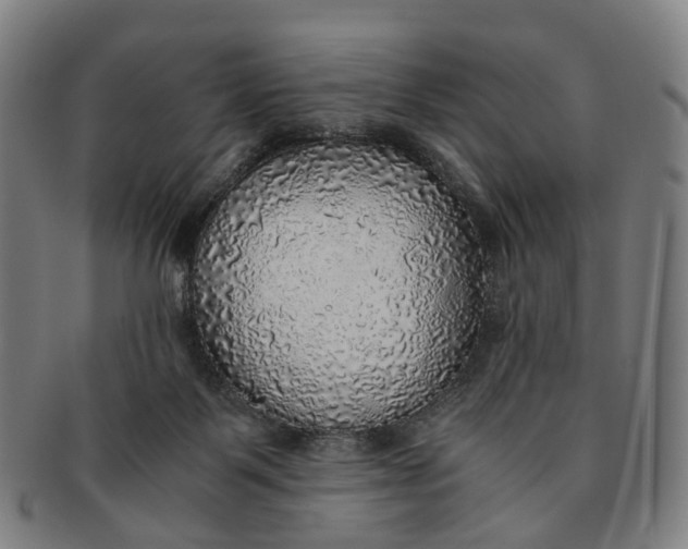 X0000091010123200708241521