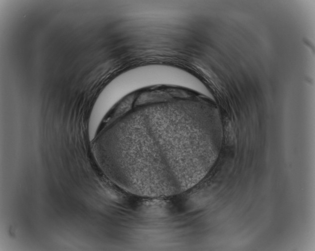 X0000091010125200708241521