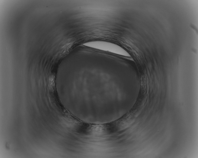 X0000091010127200708241521