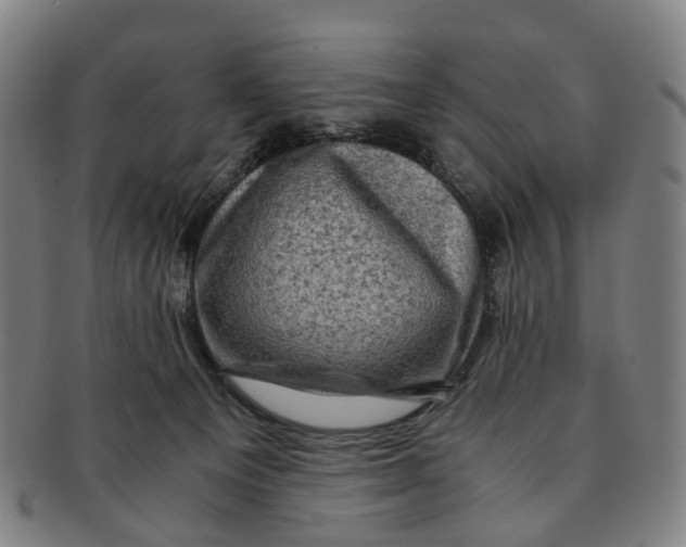 X0000091010129200708241521