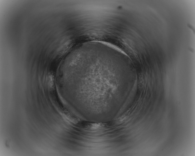 X0000091010130200708241521