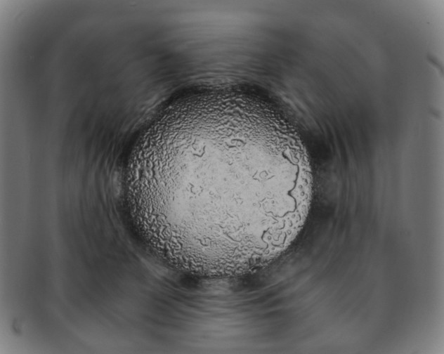 X0000091010131200708241521