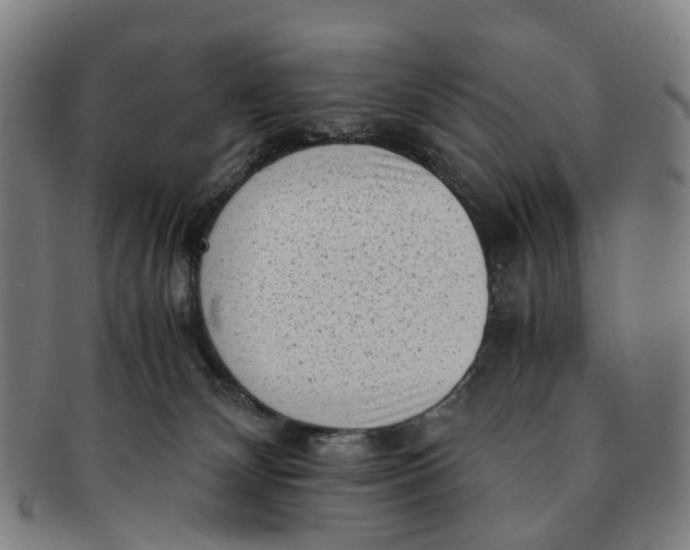 X0000091010132200708241521