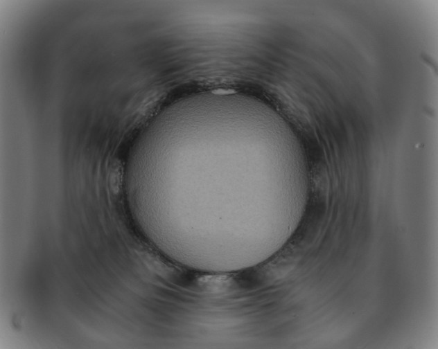 X0000091010133200708241521