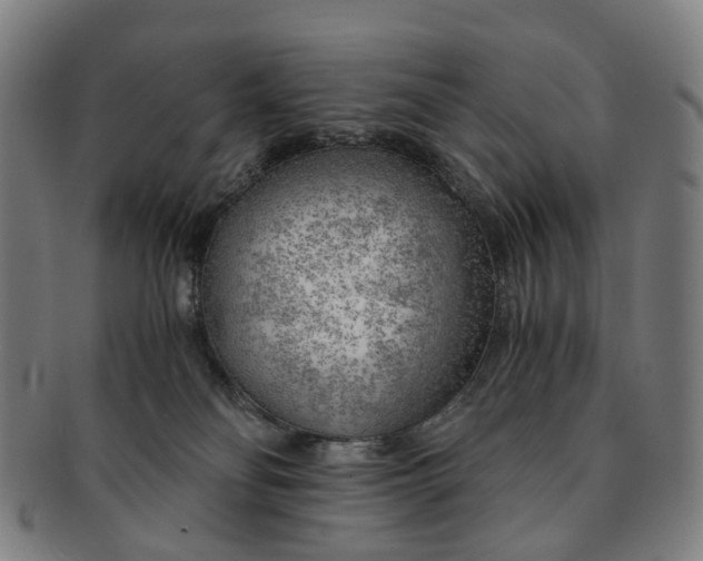 X0000091010134200708241521