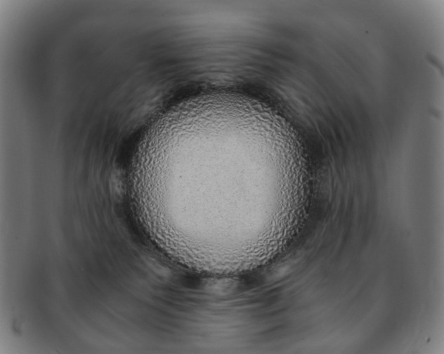 X0000091010135200708241521