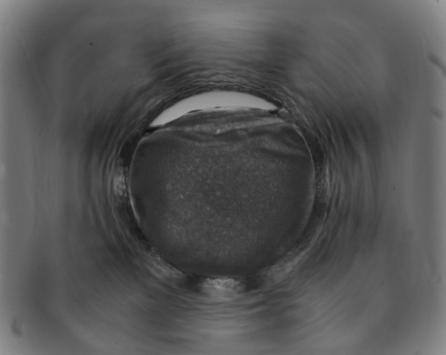 X0000091010137200708241521