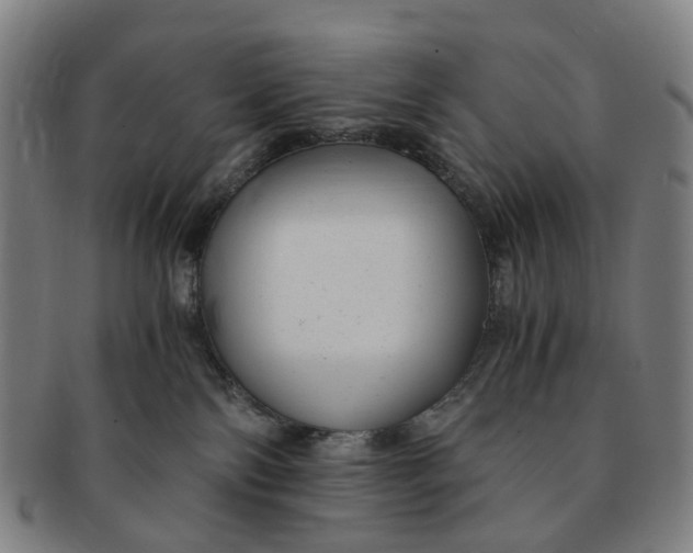 X0000091010138200708241521