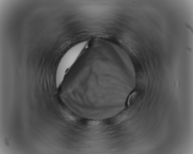 X0000091010139200708241521