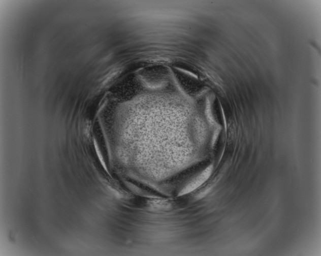 X0000091010141200708241521