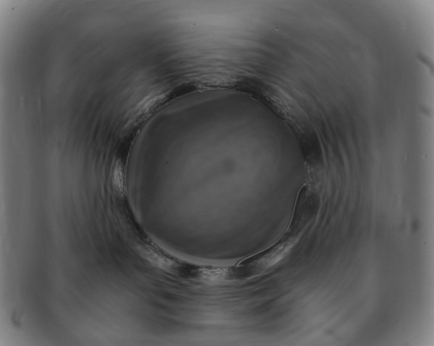 X0000091010143200708241521