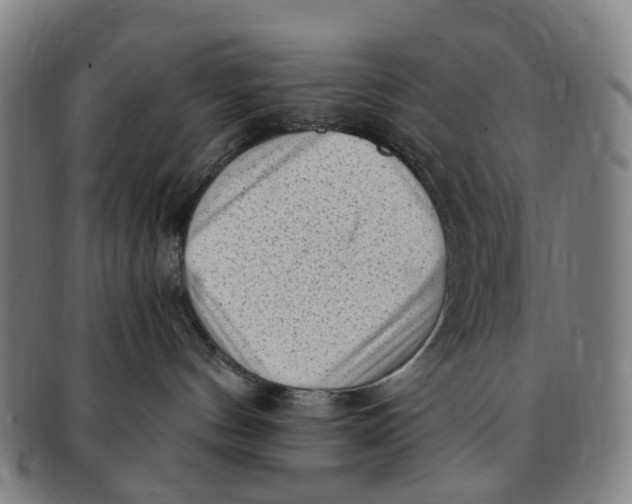 X0000091010144200708241521