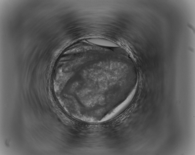 X0000091010145200708241520