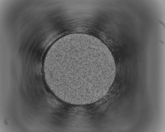 X0000091010146200708241520