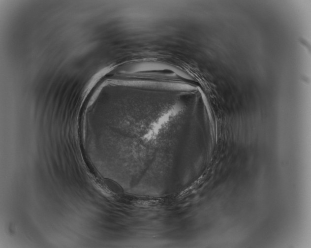 X0000091010147200708241520