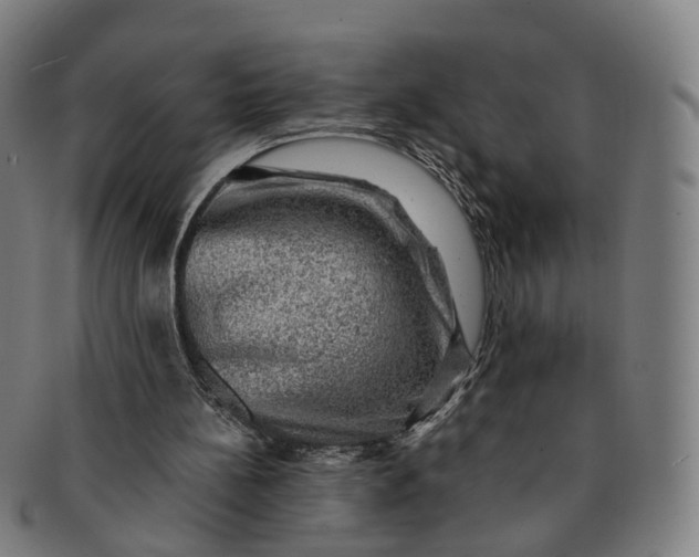 X0000091010148200708241520