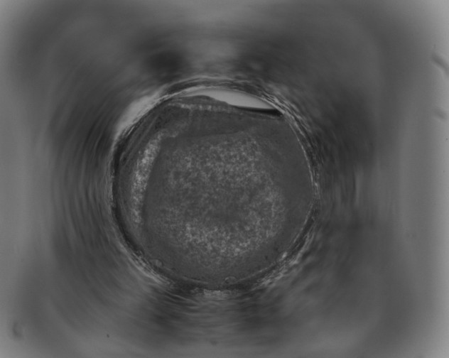 X0000091010149200708241520