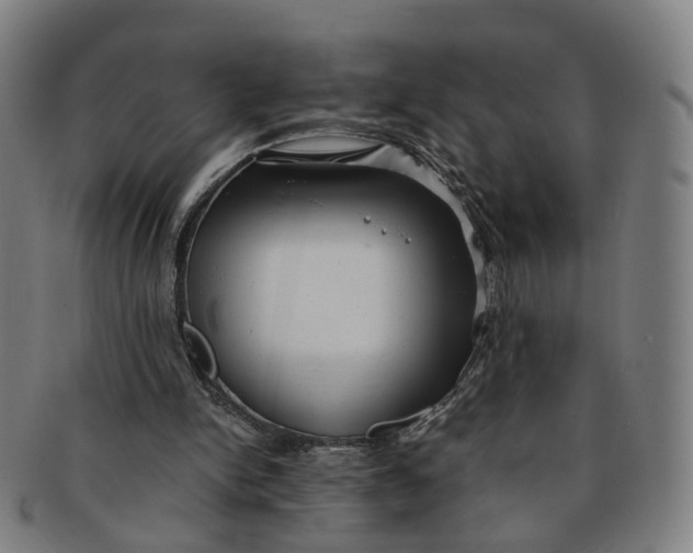 X0000091010150200708241520