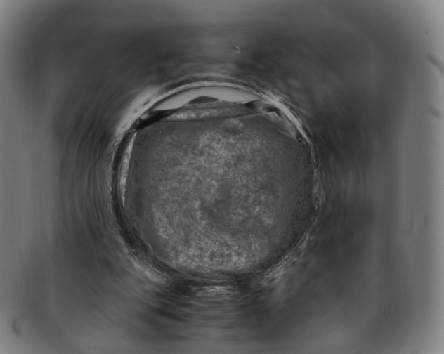 X0000091010151200708241520