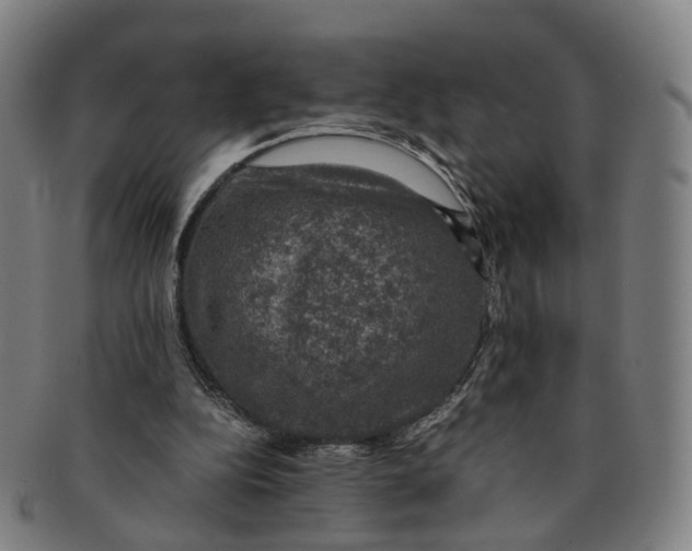 X0000091010152200708241520