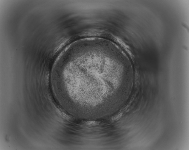 X0000091010153200708241520