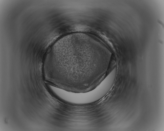 X0000091010154200708241520