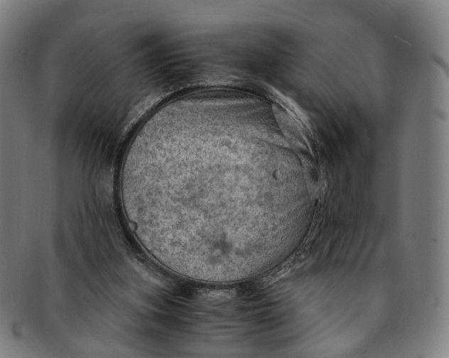 X0000091010155200708241520