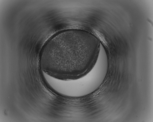 X0000091010156200708241520