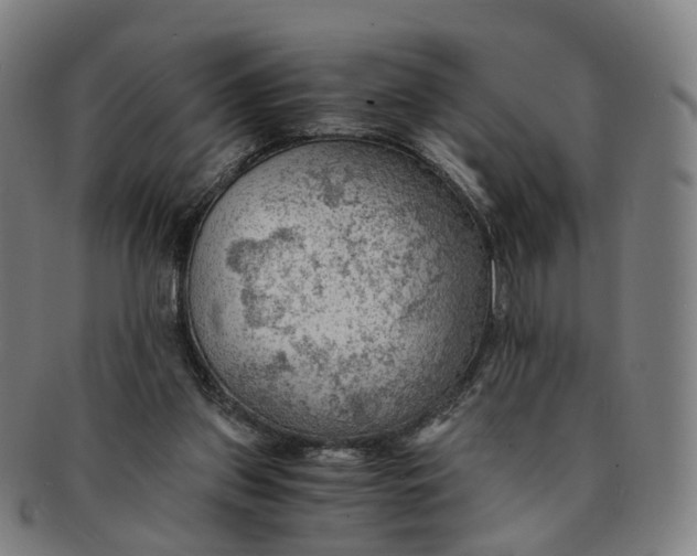 X0000091010157200708241520