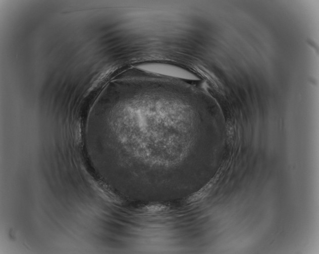 X0000091010158200708241520