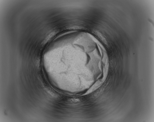 X0000091010159200708241520