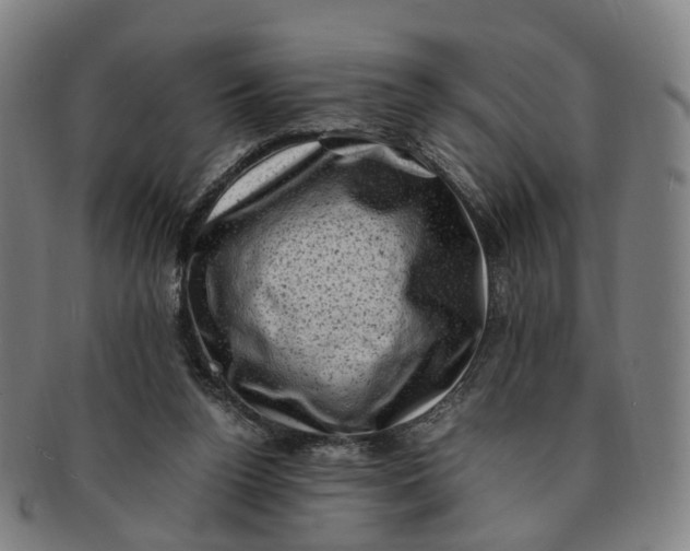 X0000091010160200708241520