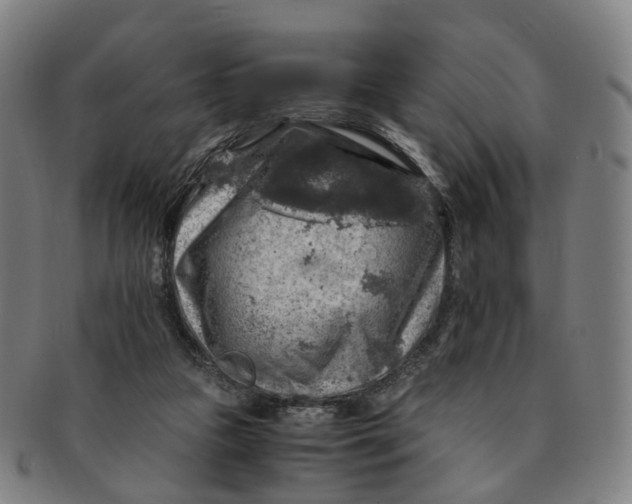 X0000091010161200708241520