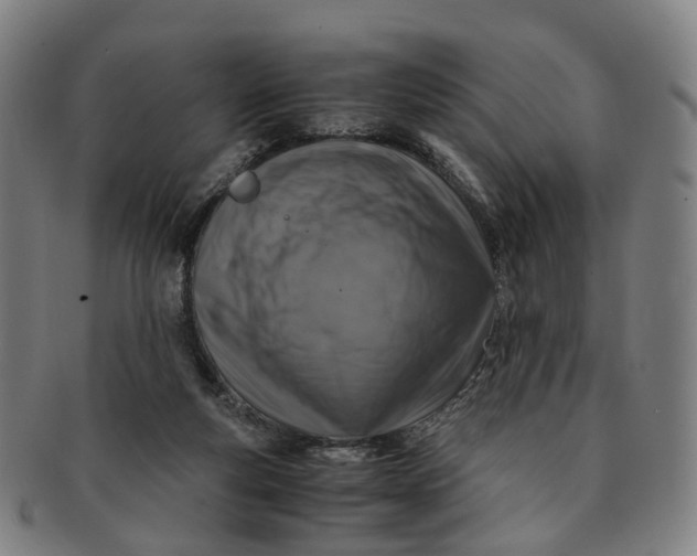 X0000091010163200708241520