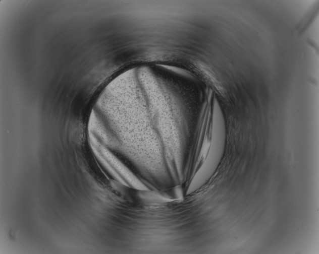 X0000091010164200708241520