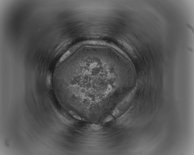 X0000091010166200708241520