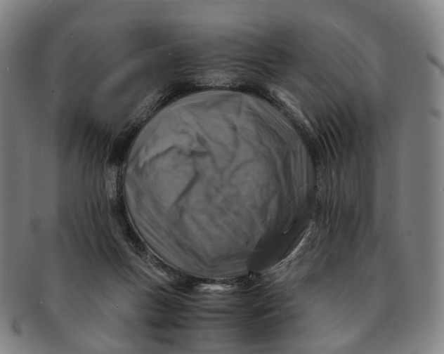 X0000091010167200708241520