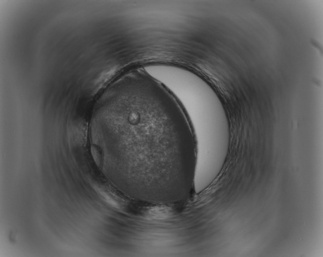 X0000091010168200708241520